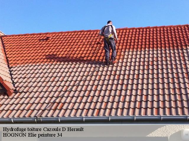 Hydrofuge toiture  cazouls-d-herault-34120 HOGNON Elie peinture 34