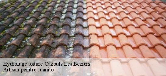 Hydrofuge toiture  34370