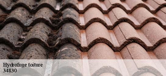 Hydrofuge toiture 34830