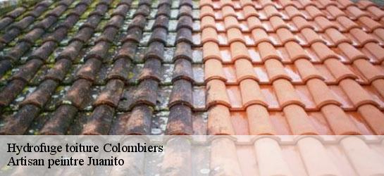 Hydrofuge toiture  34440