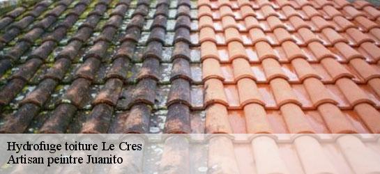 Hydrofuge toiture 34920