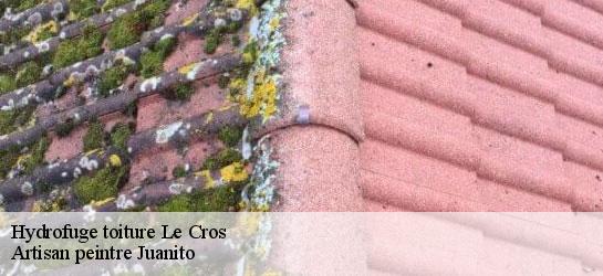 Hydrofuge toiture 34520