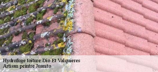 Hydrofuge toiture  34650