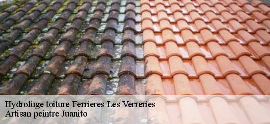 Hydrofuge toiture 34190