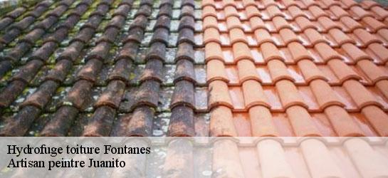 Hydrofuge toiture  34270