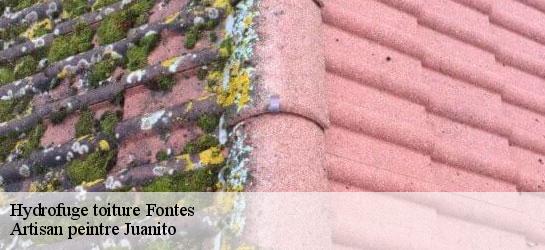 Hydrofuge toiture 34320