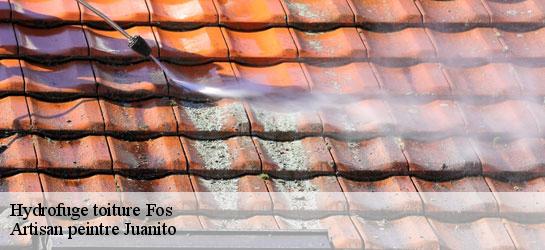 Hydrofuge toiture  34320