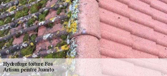 Hydrofuge toiture  34320