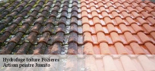 Hydrofuge toiture  34700