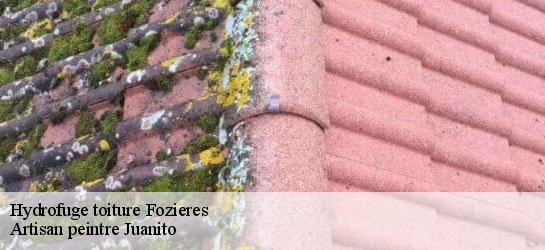 Hydrofuge toiture  34700