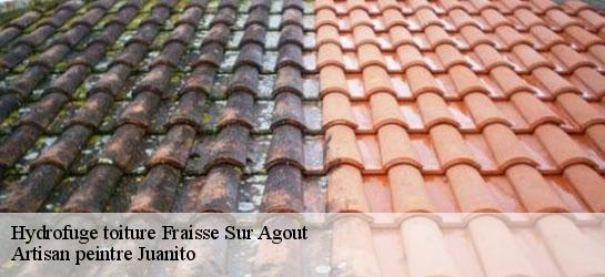 Hydrofuge toiture  34330