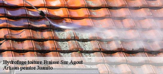 Hydrofuge toiture  34330