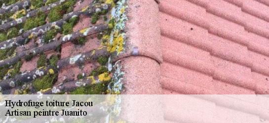 Hydrofuge toiture 34830