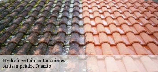 Hydrofuge toiture 34725