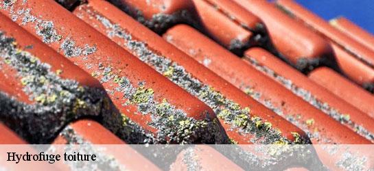 Hydrofuge toiture  34560