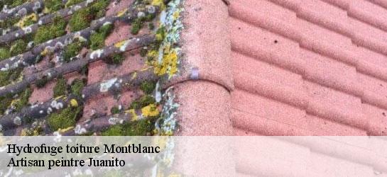 Hydrofuge toiture 34290