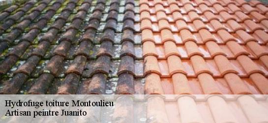 Hydrofuge toiture 34190