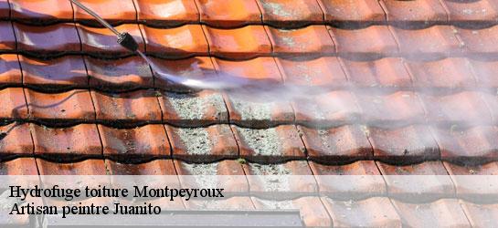 Hydrofuge toiture 34150