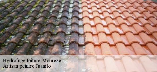 Hydrofuge toiture  34800