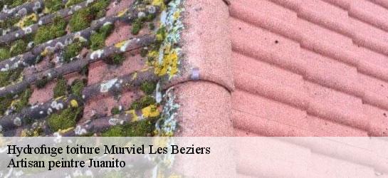 Hydrofuge toiture  34490