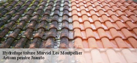 Hydrofuge toiture 34570