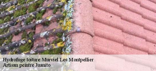 Hydrofuge toiture 34570