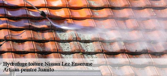 Hydrofuge toiture 34440