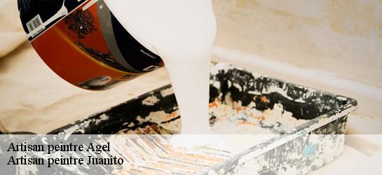 Artisan peintre  34210