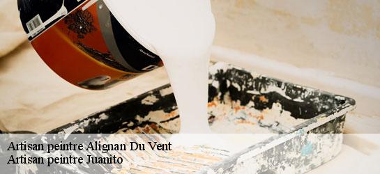 Artisan peintre 34290