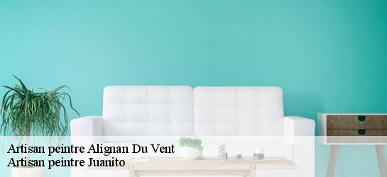 Artisan peintre 34290