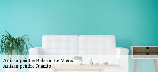 Artisan peintre 34540