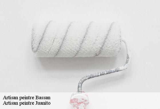 Artisan peintre bassan-34290 Artisan peintre Juanito