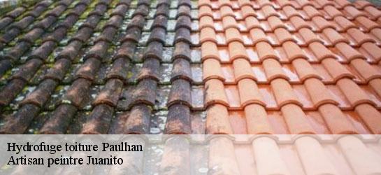 Hydrofuge toiture  34230