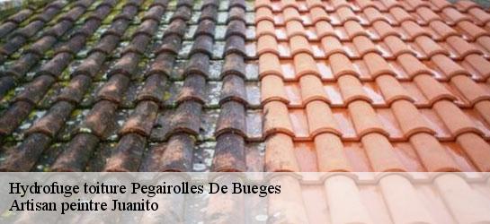 Hydrofuge toiture 34380