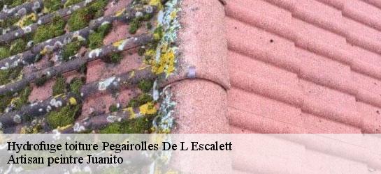 Hydrofuge toiture 34700