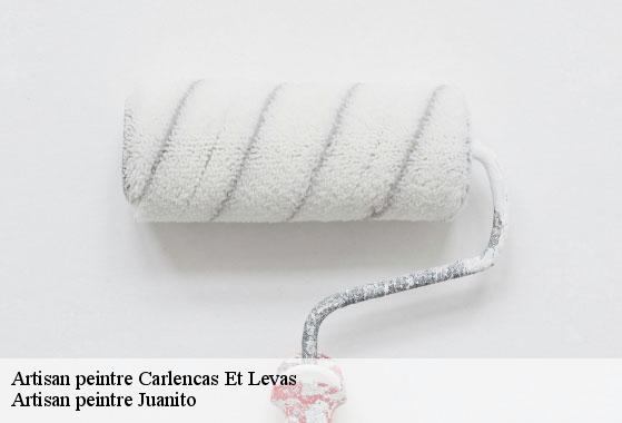 Artisan peintre  carlencas-et-levas-34600 Artisan peintre Juanito