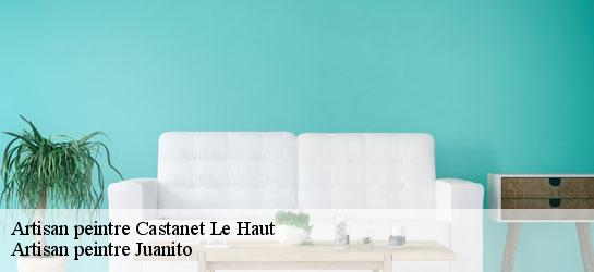 Artisan peintre 34610