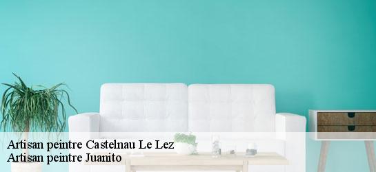 Artisan peintre  34170