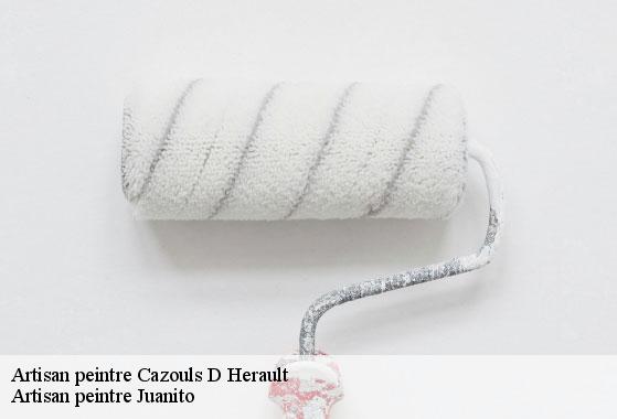 Artisan peintre cazouls-d-herault-34120 Artisan peintre Juanito