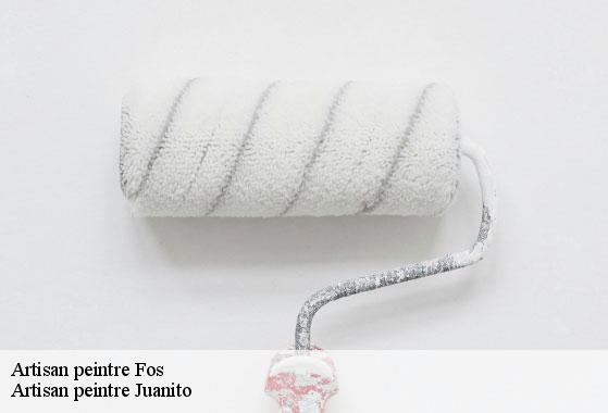 Artisan peintre fos-34320 Artisan peintre Juanito