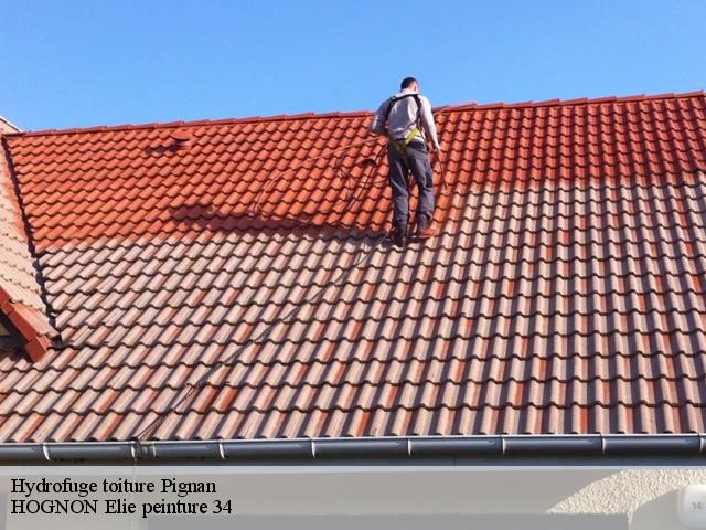 Hydrofuge toiture  pignan-34570 HOGNON Elie peinture 34