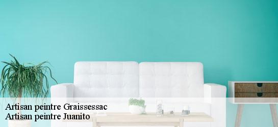 Artisan peintre 34260