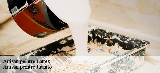 Artisan peintre 34970