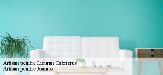 Artisan peintre 34800