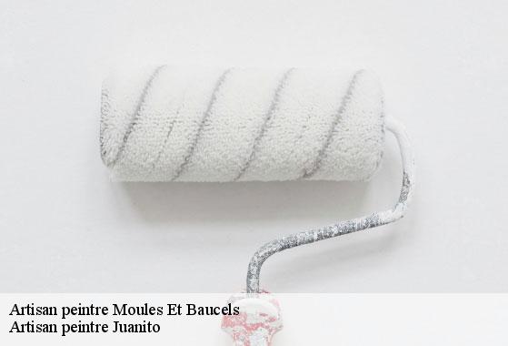 Artisan peintre moules-et-baucels-34190 Artisan peintre Juanito