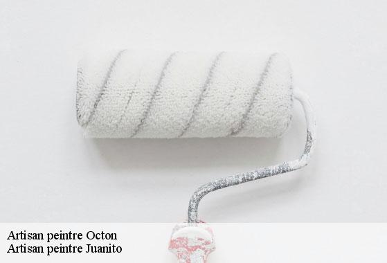 Artisan peintre octon-34800 Artisan peintre Juanito