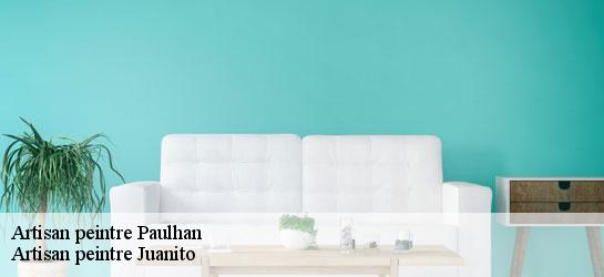 Artisan peintre 34230