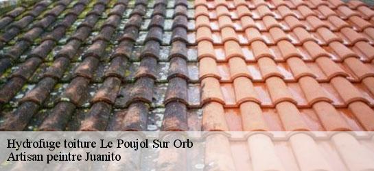 Hydrofuge toiture  34600