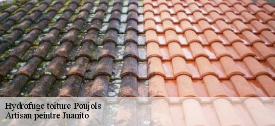 Hydrofuge toiture 34700