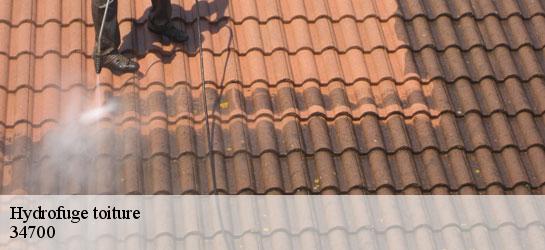 Hydrofuge toiture 34700
